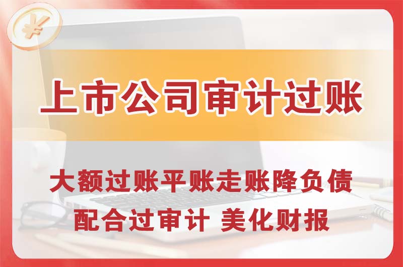 瑞金上市公司审计过账